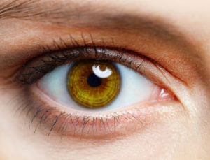 human eyes images